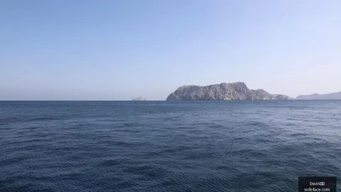 芯片工厂效率前瞻，超越对手之路或需数年磨一剑